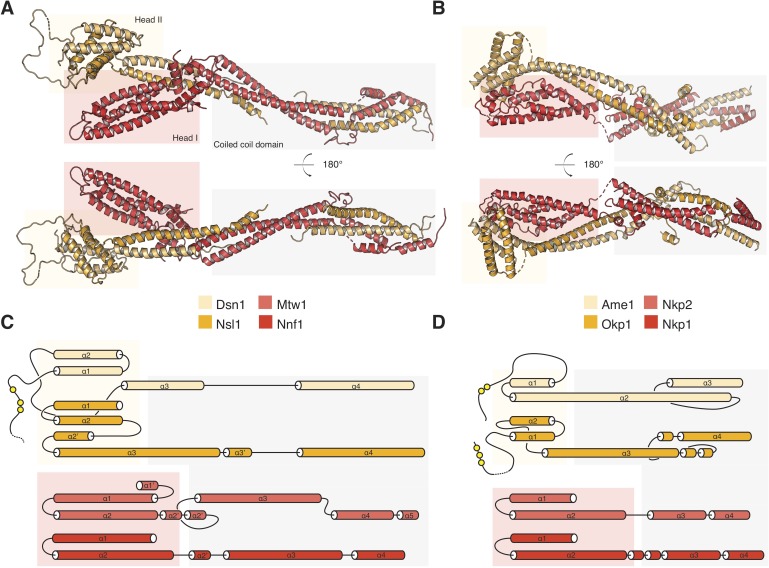 Figure 3—figure supplement 1.