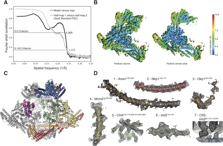 Figure 2—figure supplement 3.