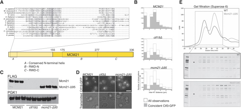 Figure 3—figure supplement 2.