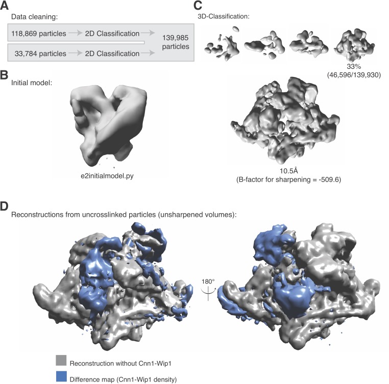 Figure 2—figure supplement 1.