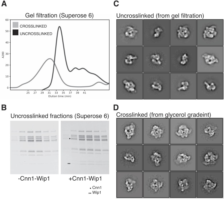 Figure 1—figure supplement 2.