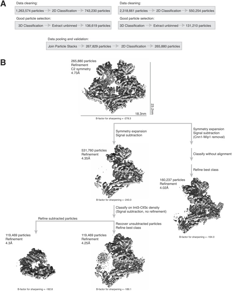 Figure 2—figure supplement 2.