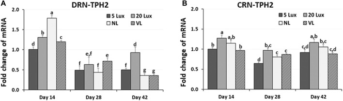 FIGURE 6