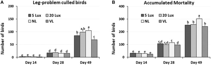 FIGURE 4