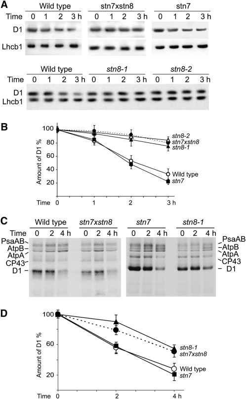 Figure 6.