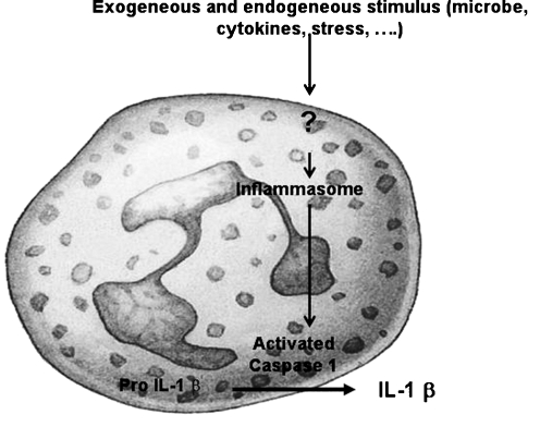 Fig. 2