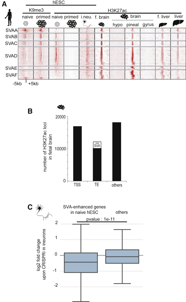 Figure 6