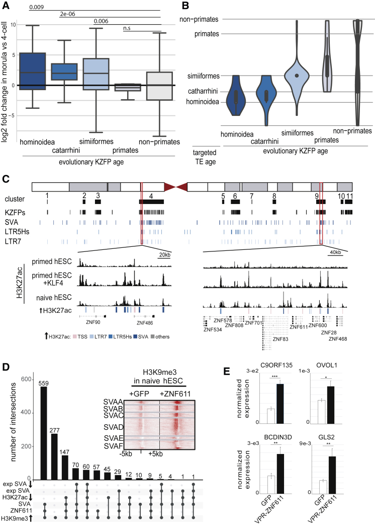 Figure 4