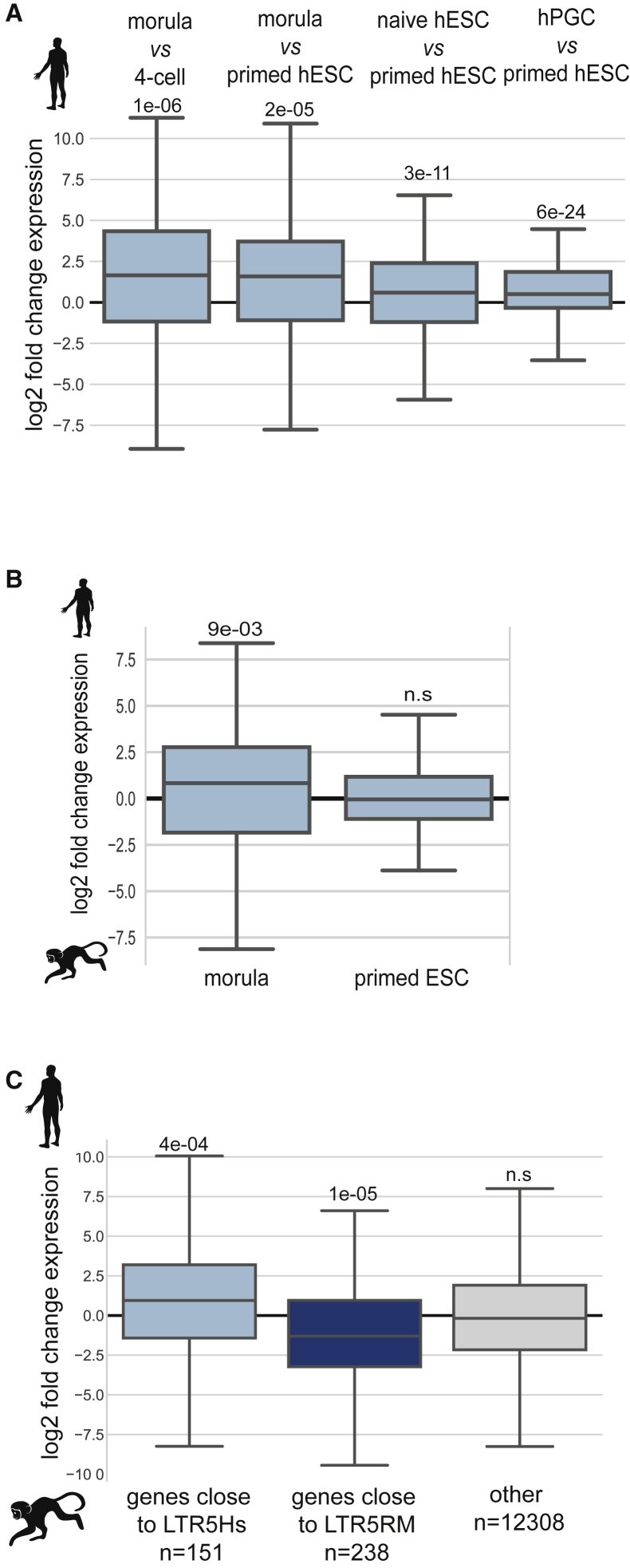 Figure 5