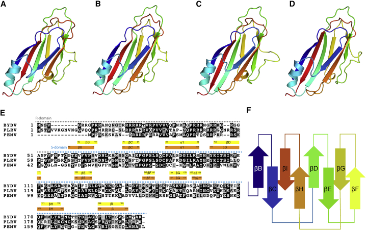 Figure 4