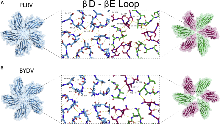 Figure 5