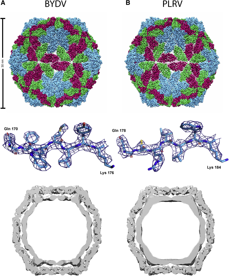 Figure 3