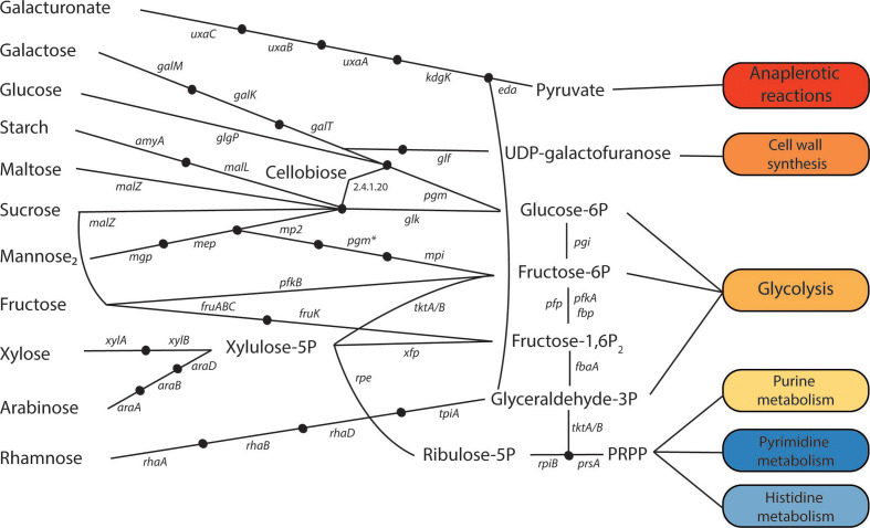 Fig. 2.