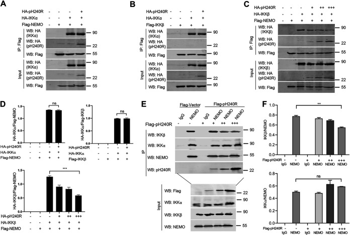 FIG 3