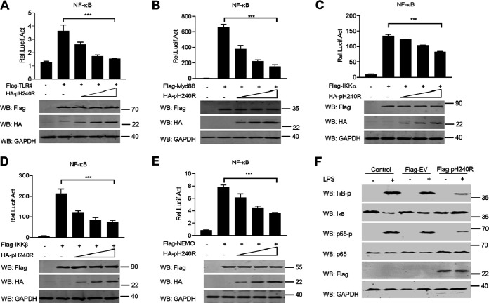 FIG 1