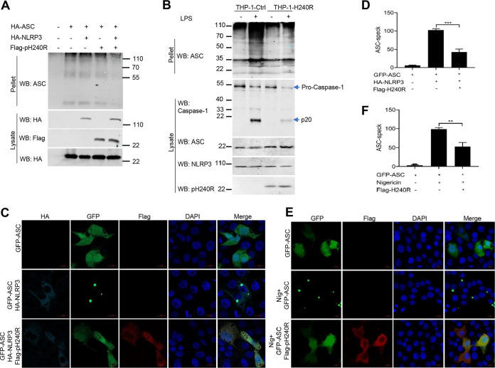 FIG 6