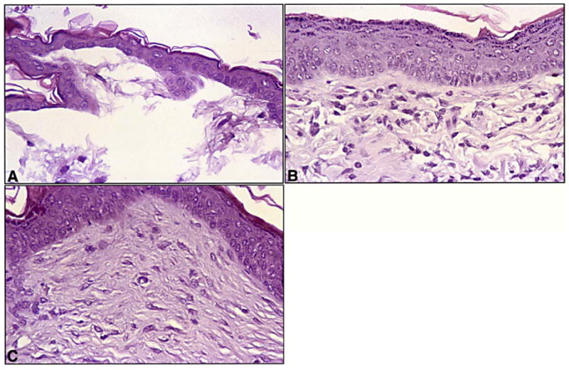 Fig. 5