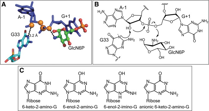 FIGURE 4.