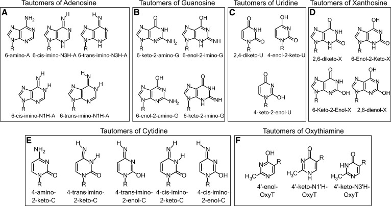 FIGURE 1.