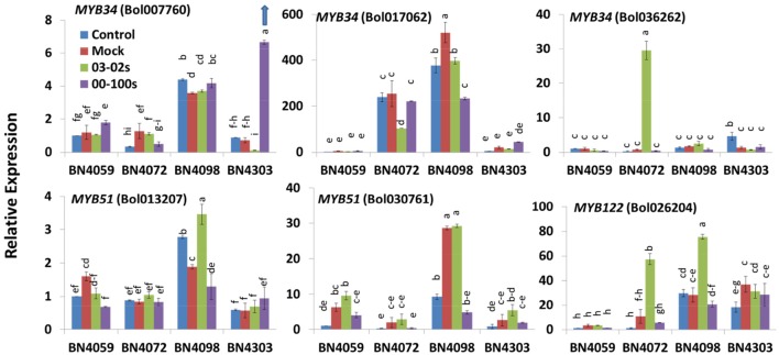 Figure 4