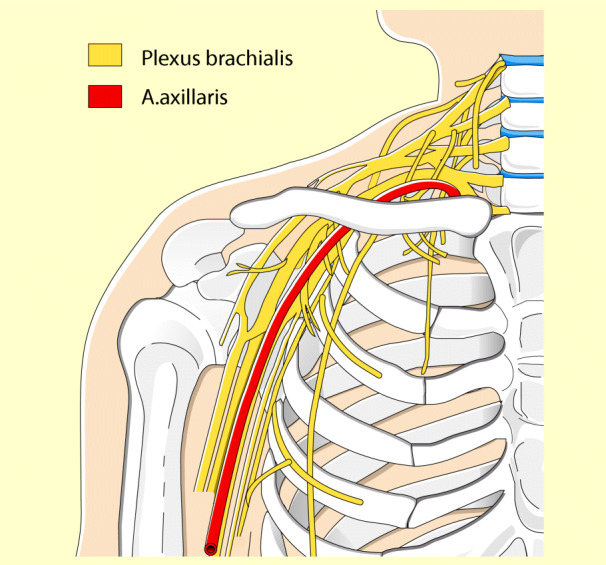 graphic file with name 6376_9_De_15_Fig1_HTML.jpg
