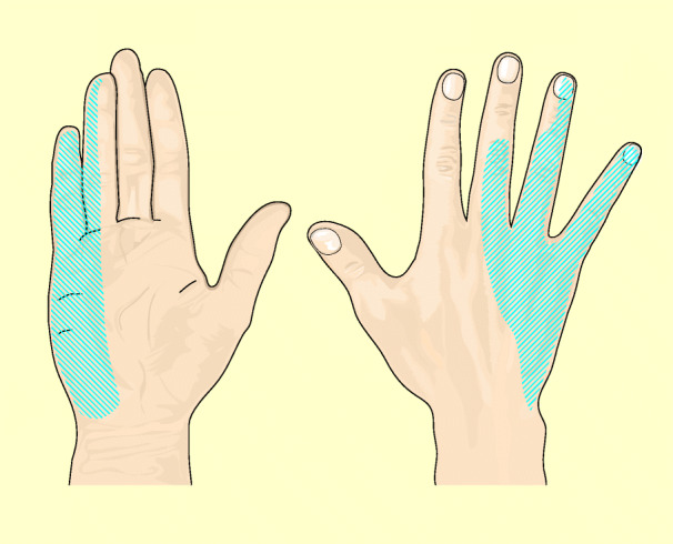 graphic file with name 6376_9_De_15_Fig12_HTML.jpg