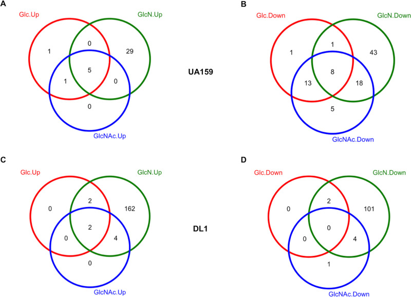 FIG 6