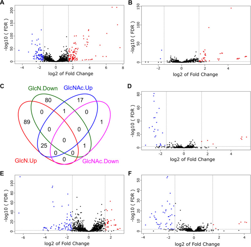 FIG 2