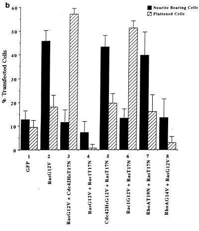 FIG. 5