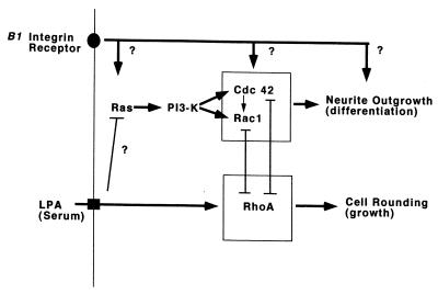 FIG. 8