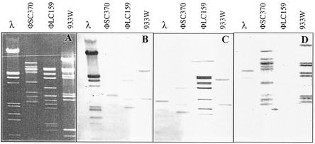 FIG. 5.