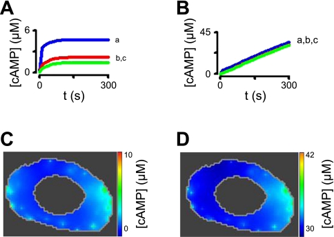 Fig. 12.