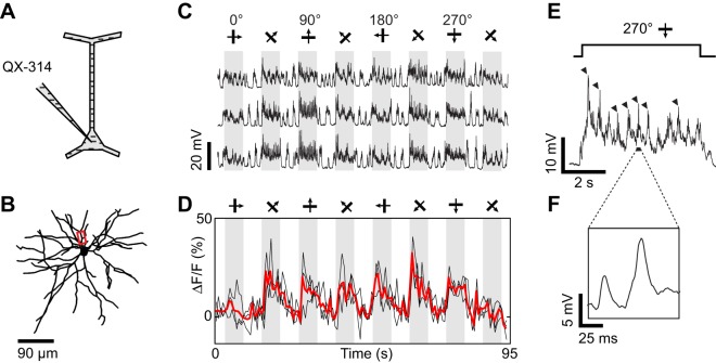 Figure 5