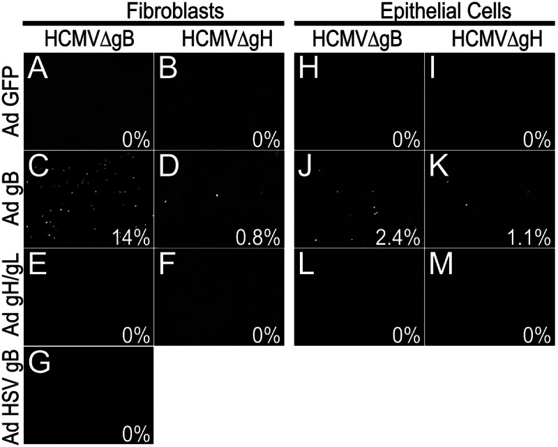 FIG 3