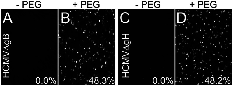 FIG 2