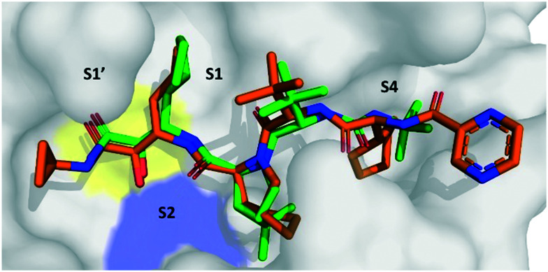 Fig. 6