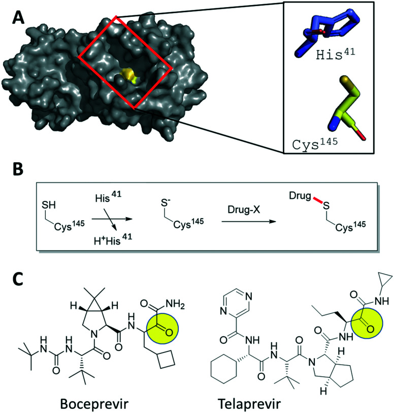 Fig. 1