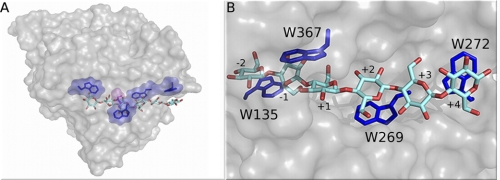 FIGURE 1.