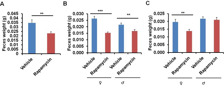 Figure 5—figure supplement 1.