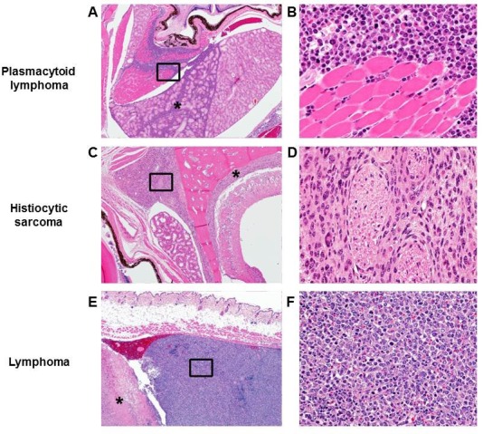 Figure 3—figure supplement 1.