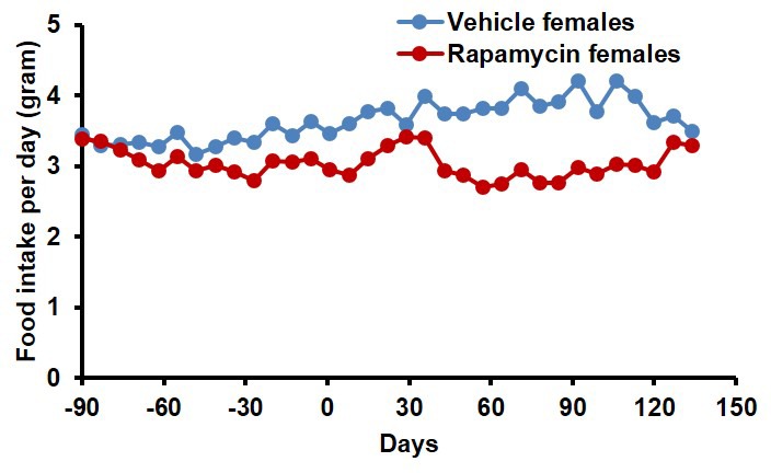 Figure 2—figure supplement 2.