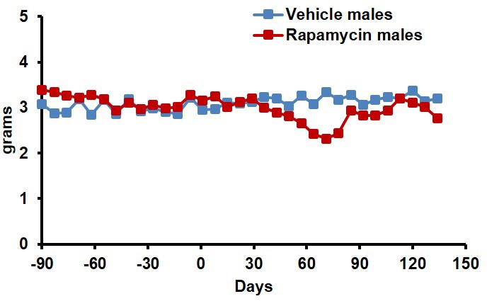 Figure 1—figure supplement 2.