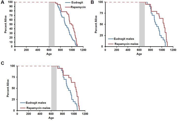 Figure 4—figure supplement 2.