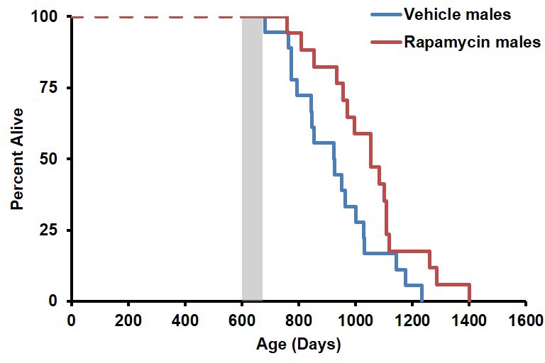 Figure 1—figure supplement 3.