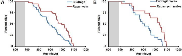 Figure 4—figure supplement 3.