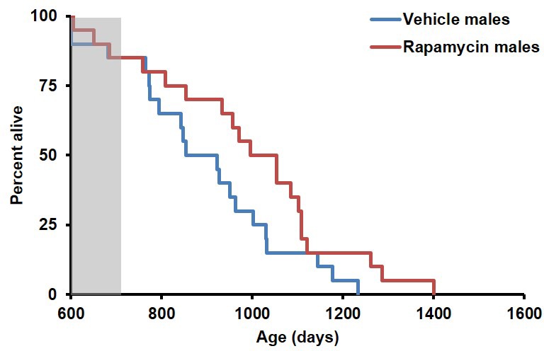 Figure 1—figure supplement 4.