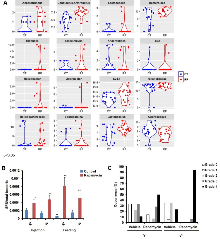 Figure 6—figure supplement 2.