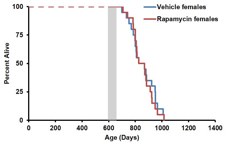 Figure 2—figure supplement 1.