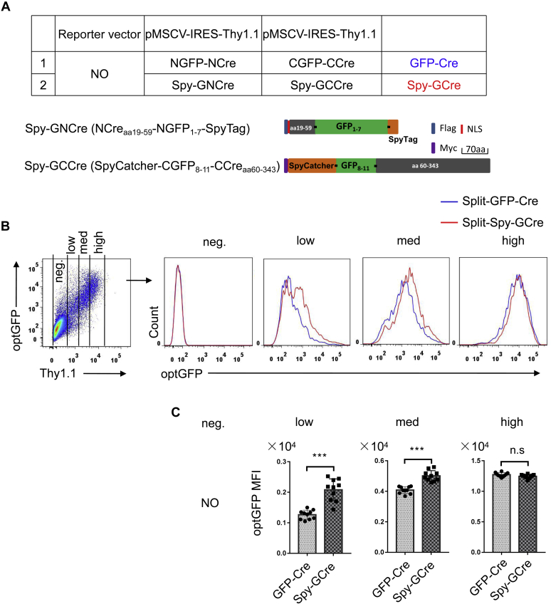 Figure 4