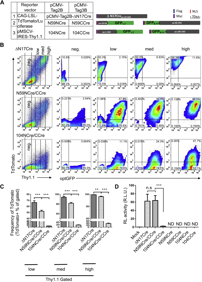 Figure 2